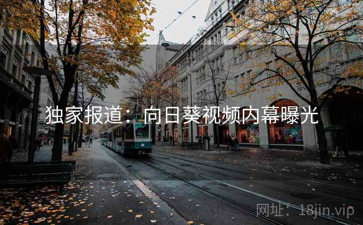 独家报道:向日葵视频内幕曝光