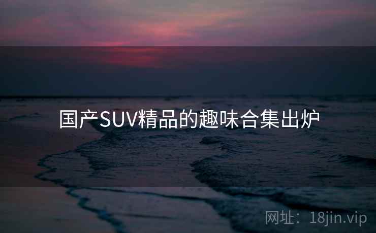国产SUV精品的趣味合集出炉