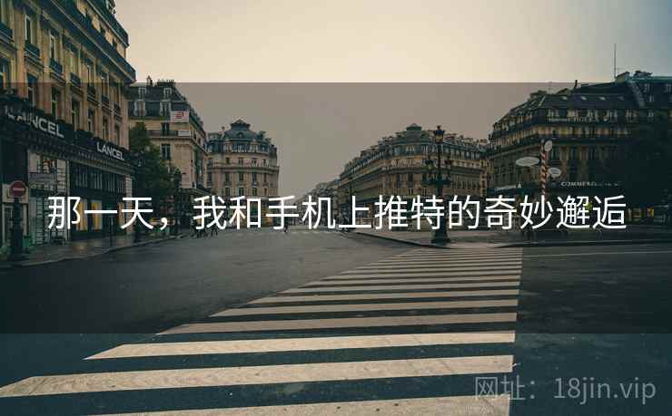 那一天，我和手机上推特的奇妙邂逅